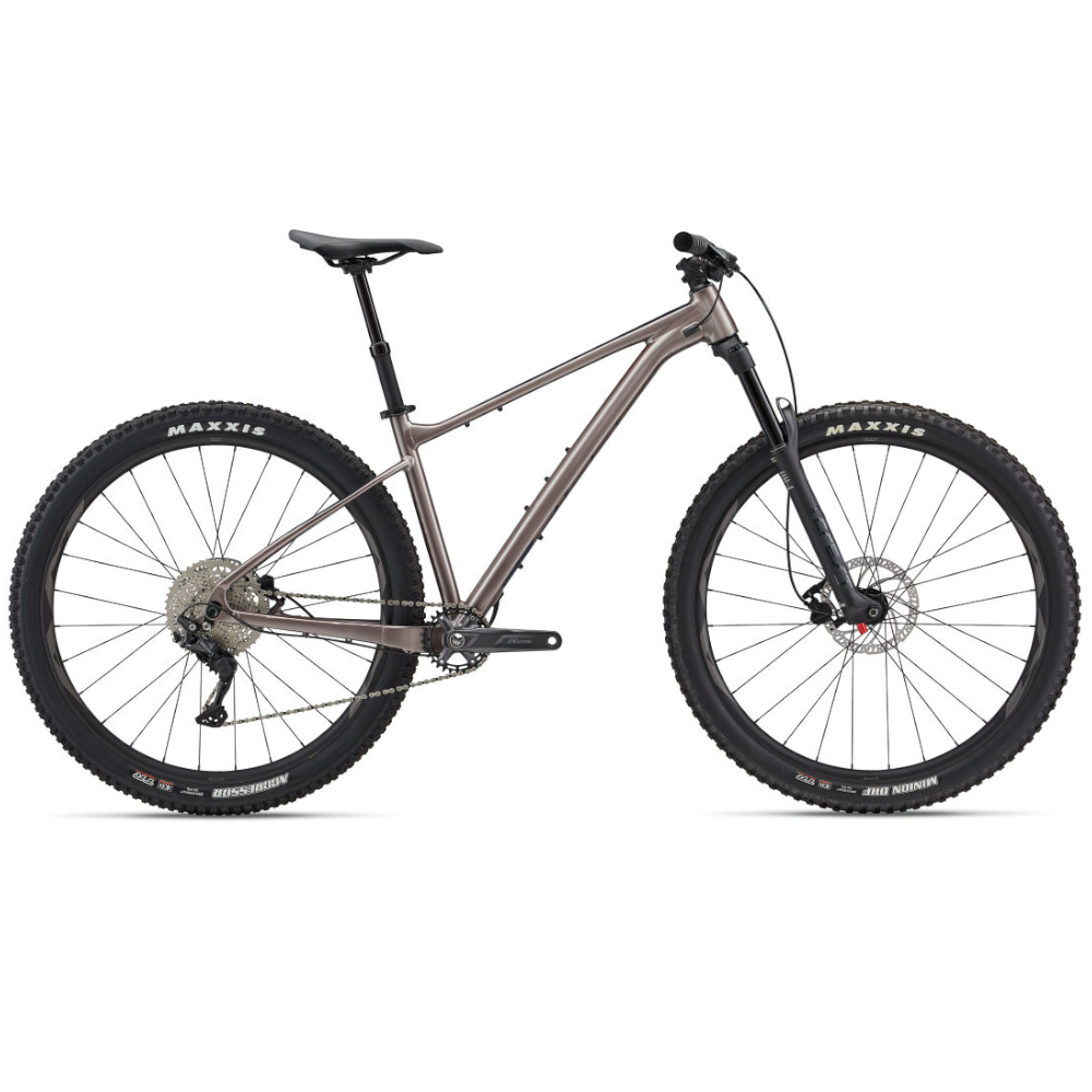 GIANT Mountain Bikes Metal / Medium Giant Fathom 29 2 (2023) 107343