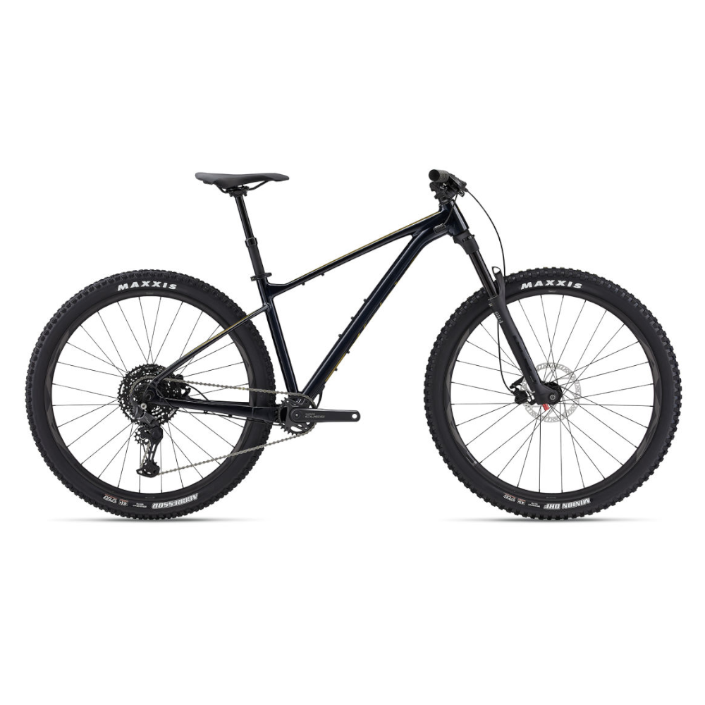 GIANT Mountain Bikes Cold Night / Large Giant Fathom 29 2 (2024) 9043004127